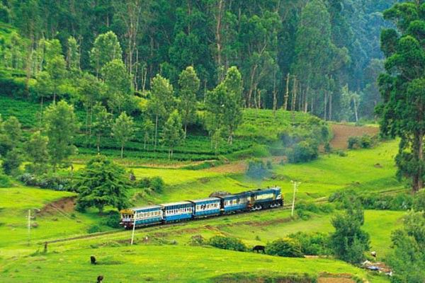 coorg packages karnataka tourism