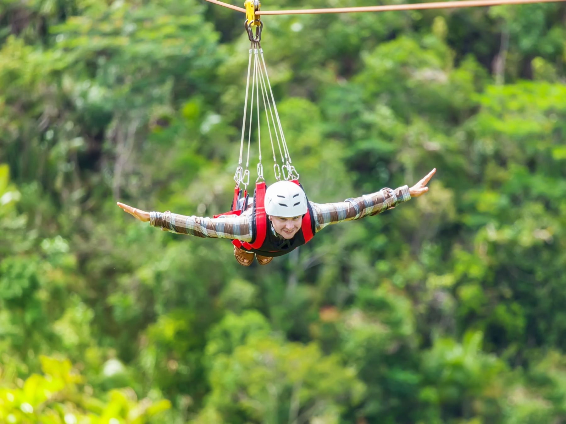 Flying Fox – Ynorme